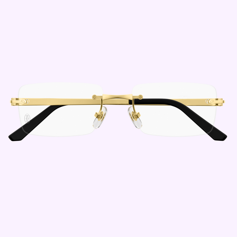 Cartier Sunglasses CT0511O-001 55 upc 843023179090