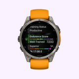 Garmin Watches fēnix® 8 – 51 mm, AMOLED 010-02905-10 UPC 753759338169