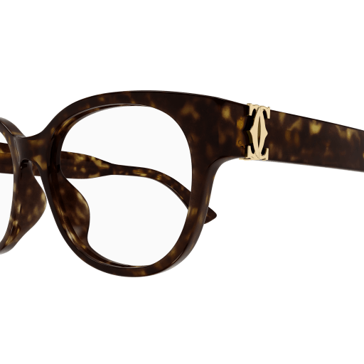 Cartier CT0452OA-002 53 Woman Metal Sunglasses