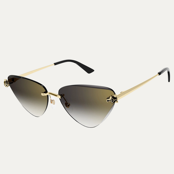 Gafas de sol Cartier CORE RANGE CT0399S-001 62