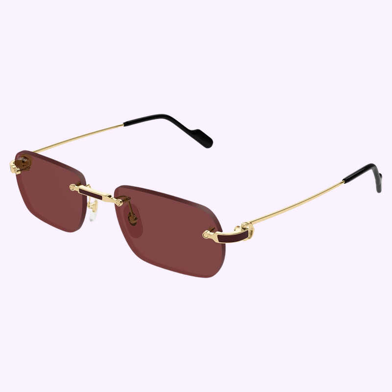 Cartier Sunglasses CT0498S-002 55 upc 843023178512