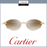 Cartier Sunglasses CT0504S-003 58 upc 843023178826