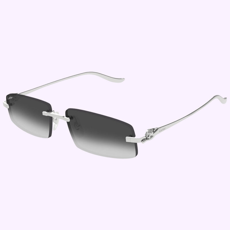 Cartier Sunglasses CT0505S-002 58 upc 843023178857