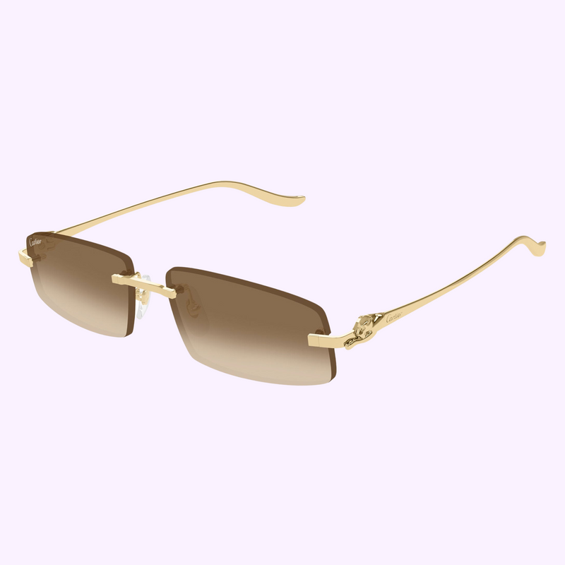 Cartier Sunglasses CT0505S-003 58 upc 843023178864