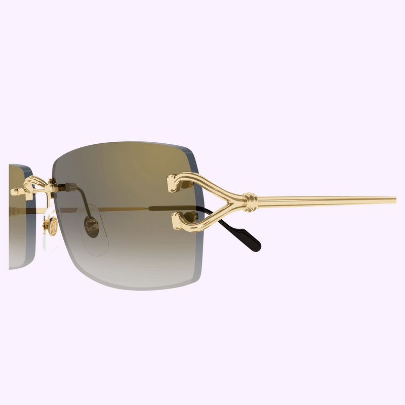 Cartier Sunglasses CT0550S-001 56 upc 843023181451