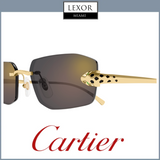 Cartier Sunglasses CT0474S-001 56 UNISEX upc 843023176037