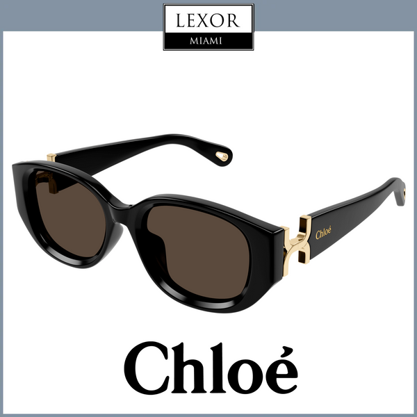 Chloe Sunglasses CH0237SK-001 54 WOMAN upc 889652482965