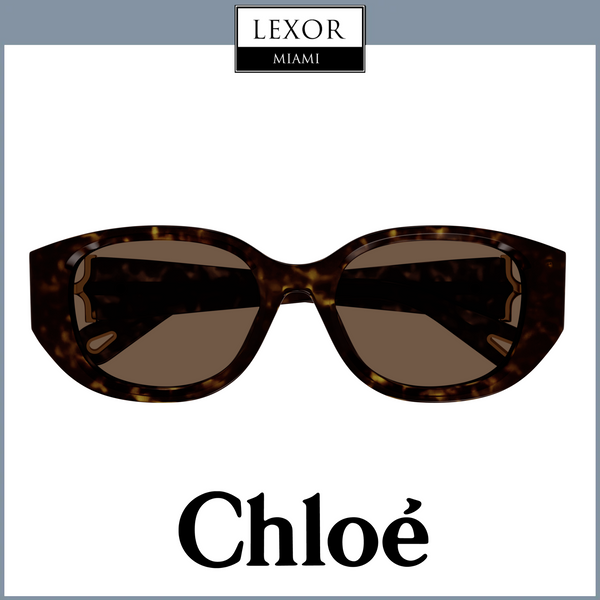 Chloe Sunglasses CH0237SK-002 54  WOMAN upc 889652482972
