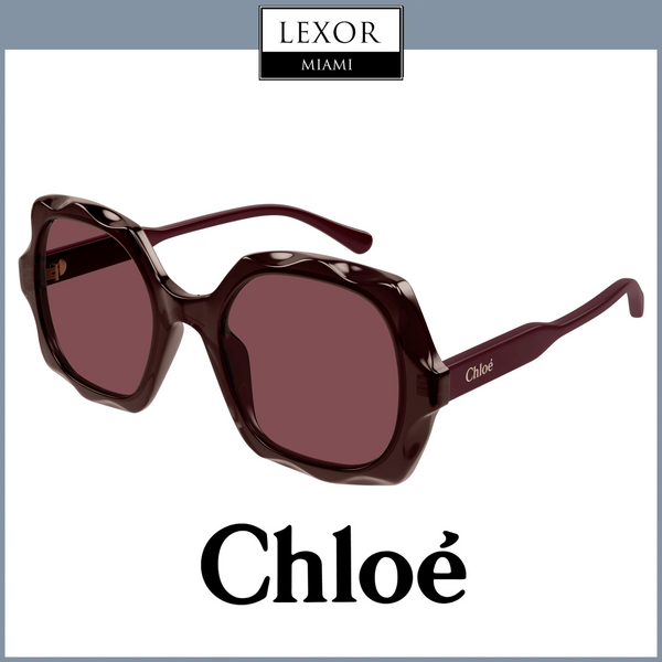 Chloe Sunglasses CH0226S-002 53 WOMAN upc 889652483122
