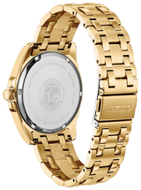 Relógios Citizen BM7103-51L Eco WR100 SSG Aço Inoxidável Masculino