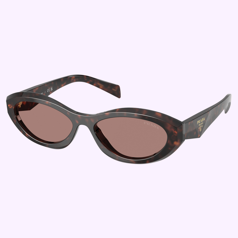 Prada Sunglasses 0PR 26ZS 17N60B55 UPC 8056262345412