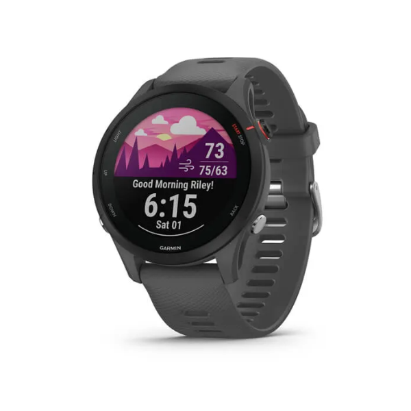 Garmin 0100264100 Forerunner® 255 Cinza Ardósia