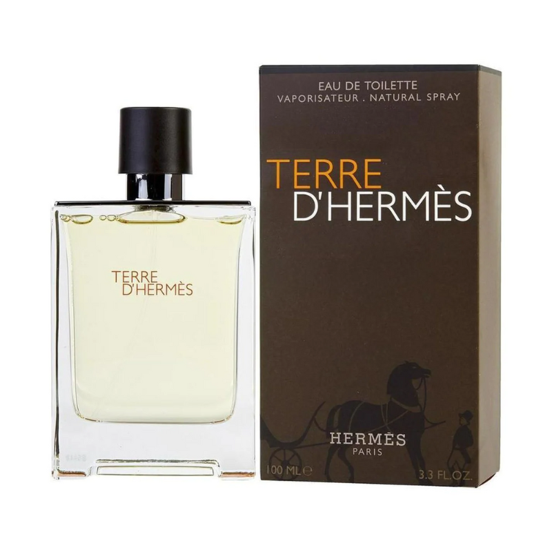 Hermes Terre D'Hermes 3.3 EDT Sp Homens