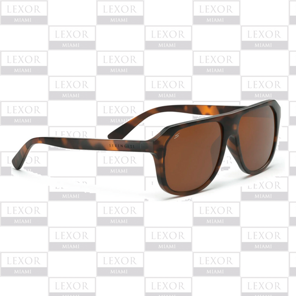 Gafas de sol polarizadas para conductores Serengeti OATMAN Matte Classic Tortoise - Saturn